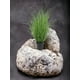 thumbnail image 3 of Planta Decorativa Pasto Con Caida Verde 45Cm, 3 of 3