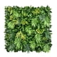 thumbnail image 1 of Jardin Vertical Hawaii, 1 of 2