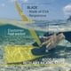 thumbnail image 5 of Fins Cressi Clio, bolsillo completo para pie, para bucear, color amarillo 43/44, 5 of 7