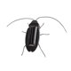 thumbnail image 2 of Novedad, Con Energía Solar, Simulación, Insectos, Animales, Modelo, Cucaracha De Juguete, 2 of 3