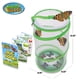 thumbnail image 2 of Kit de cultivo de mariposas Nature Bound Live Caterpillar Kids, 2 of 6