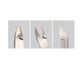 thumbnail image 2 of Professional Dead Skin Scissors With Non-slip Handle & Super Sharp Nail Clipper - Perfect Manicure Tool For Home Usage, 2 of 2