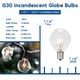 thumbnail image 4 of Bombillas novedosas G30, rojas, 5 W, base E12, paquete de 25, 120 V, 4 of 7