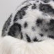 thumbnail image 2 of Gorro Ruso Mujer Peludo Animal Print Invierno Suave Abrigado blanco Talla Única, 2 of 3