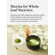 thumbnail image 3 of Matcha en polvo KYOHAYASHIYA Wakamatsu grado ceremonial 30 g, 3 of 9