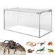 thumbnail image 1 of VIVARIUM smartang 20 x 10 x 10 cm Terrario de Acrílico para Tarántulas, 1 of 7