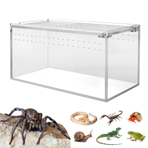 VIVARIUM smartang 20 x 10 x 10 cm Terrario de Acrílico para Tarántulas
