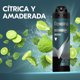 thumbnail image 3 of Desodorante Aerosol Rexona Men Invisible Hombre, 150 ml, 3 of 4