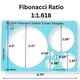 thumbnail image 3 of Plantilla De 15 Cm Con Proporción Áurea Y Espiral De Fibonacci, 3 of 7