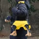 thumbnail image 2 of arnés de elevación de perros para perros pequeños cuerpo completo de soporte eslinga para las piernas traseras, mascotas de rehabilitación levanta chaleco correas ajustables para perros pequ, 2 of 3