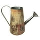 thumbnail image 1 of Regadera decorativa, 1 of 2