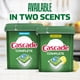 thumbnail image 5 of Detergente para lavavajillas en cápsulas Cascade Complete Action, 43 unidades, 5 of 9