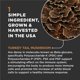 thumbnail image 4 of Suplemento Super Snouts Turkey Tail Mushroom para perros y gatos, 4 of 9