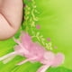 thumbnail image 2 of Disfraz de Tinker Bell Deluxe para bebés y niñas, 2 of 3