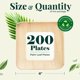 thumbnail image 5 of Plato desechable KoalaLove Palm Leaf de 15 cm, paquete de 200, 5 of 8