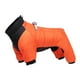 thumbnail image 2 of Perro Abrigo De Invierno Disfraz De Perro Bulldog Francés Ropa De Jardín Ropa Para Mascotas Viaje, 2 of 5
