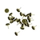 thumbnail image 1 of 24 Piezas En Blanco 8mm Bandeja Para Pendientes Cabujón Ajuste Joyería DIY Bronce, 1 of 3
