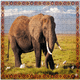 thumbnail image 2 of Puzzle Elefante (100 Piezas) - Toyng, 2 of 4