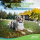 thumbnail image 5 of Collar para Perro Perimeter Technologies con App Bluetooth, 5 of 7