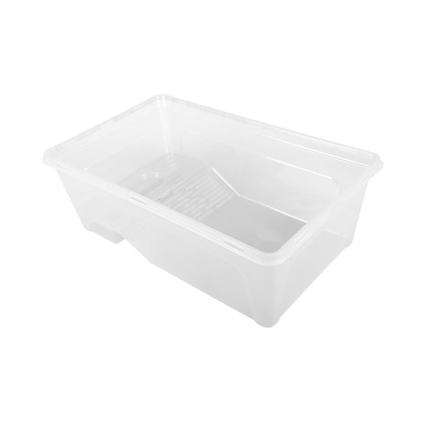 Hábitat Para Ranas Acuáticas Anfibias Con Ventosas, Decoración De