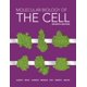 thumbnail image 1 of Libro W. W. Norton & Company: Biología Molecular de la Célula, 1 of 1