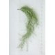 thumbnail image 1 of Musgo verde artificial Kalalou, 1 of 2