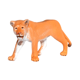 thumbnail image 1 of Figura Animal Leona Joven Buinzoo, 1 of 2