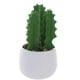 thumbnail image 4 of Planta Decor Cactus Suculento 25 Cms Maceta Blanca, 4 of 4