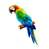Magideal - Figuras De Loros Artificiales De Colores, Miniatura Colgante, Modelo De Pájaro, Escultura Animal, Accesorios De Fotografía Para Jardín, Césped, Decora Estilo C