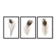 thumbnail image 1 of Set de Cuadros Abstracto Plumas Real con Marco Negro 50x40 CM, 1 of 1