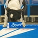 thumbnail image 2 of Plato para perro grande Universidad Catolica, 2 of 6