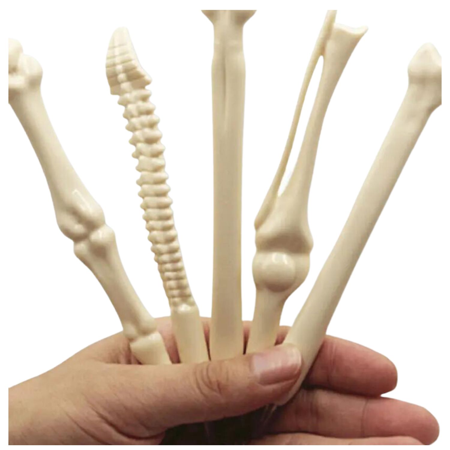 Invencible.Cl - 𝟭𝟮 𝗟𝗔́𝗣𝗜𝗖𝗘𝗦 𝗛𝗨𝗘𝗦𝗢 Combo 12 Lápices Hueso Kineseologo Tinta Pluma Médico Regalo