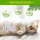 thumbnail image 3 of Juguete para gatos GBSYU, palitos masticables de silvervine, 3 unidades, para gatos de interior, 3 of 7