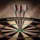thumbnail image 2 of Barril de tungsteno y níquel Dart Flights Viper de GLD Products de 22 g, 2 of 8
