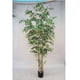 thumbnail image 1 of Planta Decorativa Árbol Ficus 240 cm, 1 of 2