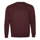 thumbnail image 1 of Polerón Polo Unisex, 1 of 3