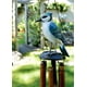 thumbnail image 4 of Campanilla de viento Cohasset Gifts Blue Jay Bamboo pintada a mano, 4 of 4