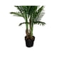 thumbnail image 2 of Planta Artificial. Altura: 130Cm. Tipo Palmera verde, 2 of 3
