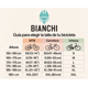 thumbnail image 3 of BICICLETA BIANCHI CORSA SS CELESTE BIANCHI, 3 of 3