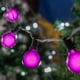 thumbnail image 5 of Bombillas de repuesto Novelty Lights G50 Globe, 7 W, E17/C9, color morado, paquete de 25, 5 of 8