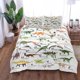 thumbnail image 1 of Dinosaurs Alphabets Children Bedding Set Double Bed Linen Set Duvet Cover Pillow Case, 1 of 5