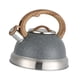 thumbnail image 3 of Whistling Kettle Anti Scald Cookware Stainless Steel For Outdoor Fishing BBQ Gray, 3 of 5