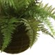 thumbnail image 3 of Helecho de cuero artificial con cesta colgante cubierta de musgo, casi natural, 3 of 5