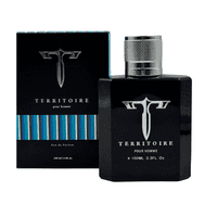 Perfume Territoire Pour Homme Edp 100 Ml