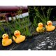 thumbnail image 4 of Juguete de baño DS. DISTINCTIVE STYLE 5,5 cm Pack de 4, 4 of 8