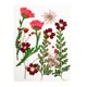 thumbnail image 2 of Flores Secas Prensadas Hojas Reales Para Manualidades De Resina De Joyería DIY Rojo, 2 of 5