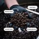 thumbnail image 2 of Café KA`U COFFEE MILL Vainilla y Macadamia 284 g, 2 of 7