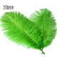 thumbnail image 3 of Venta al por mayor, 10 piezas de plumas de avestruz macho naturales, 25-30 cm/10-12 pulgadas, gran pelusa verde, 3 of 6