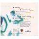 thumbnail image 2 of 2 Eivissa Oh La La La (picture Disc) Cd Single Usado, 2 of 3