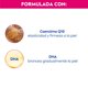 thumbnail image 4 of Loción Corporal Q10 Reafirmante + Autobronceante, 4 of 8